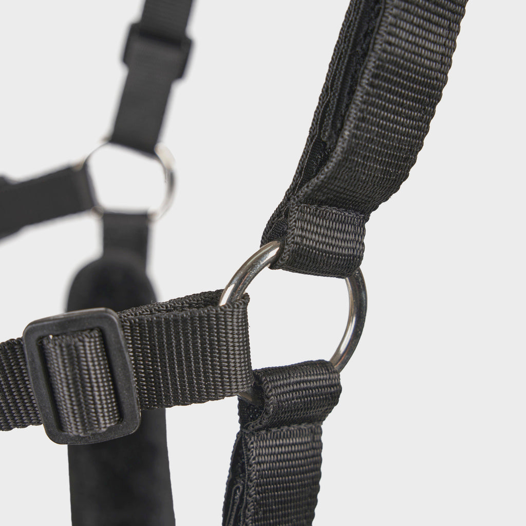 Deluxe Comfort Grazing Muzzle Black