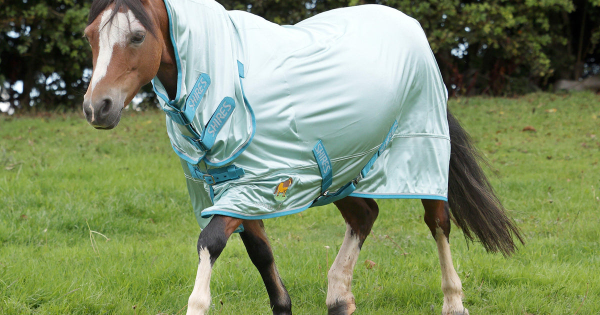 Shires Winnie & Me Fly Combo Rug Light Blue – Naylors
