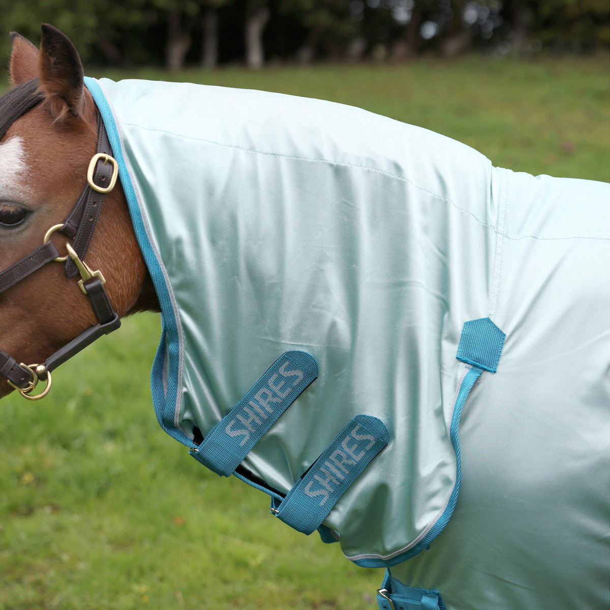 Winnie & Me Fly Combo Rug Light Blue