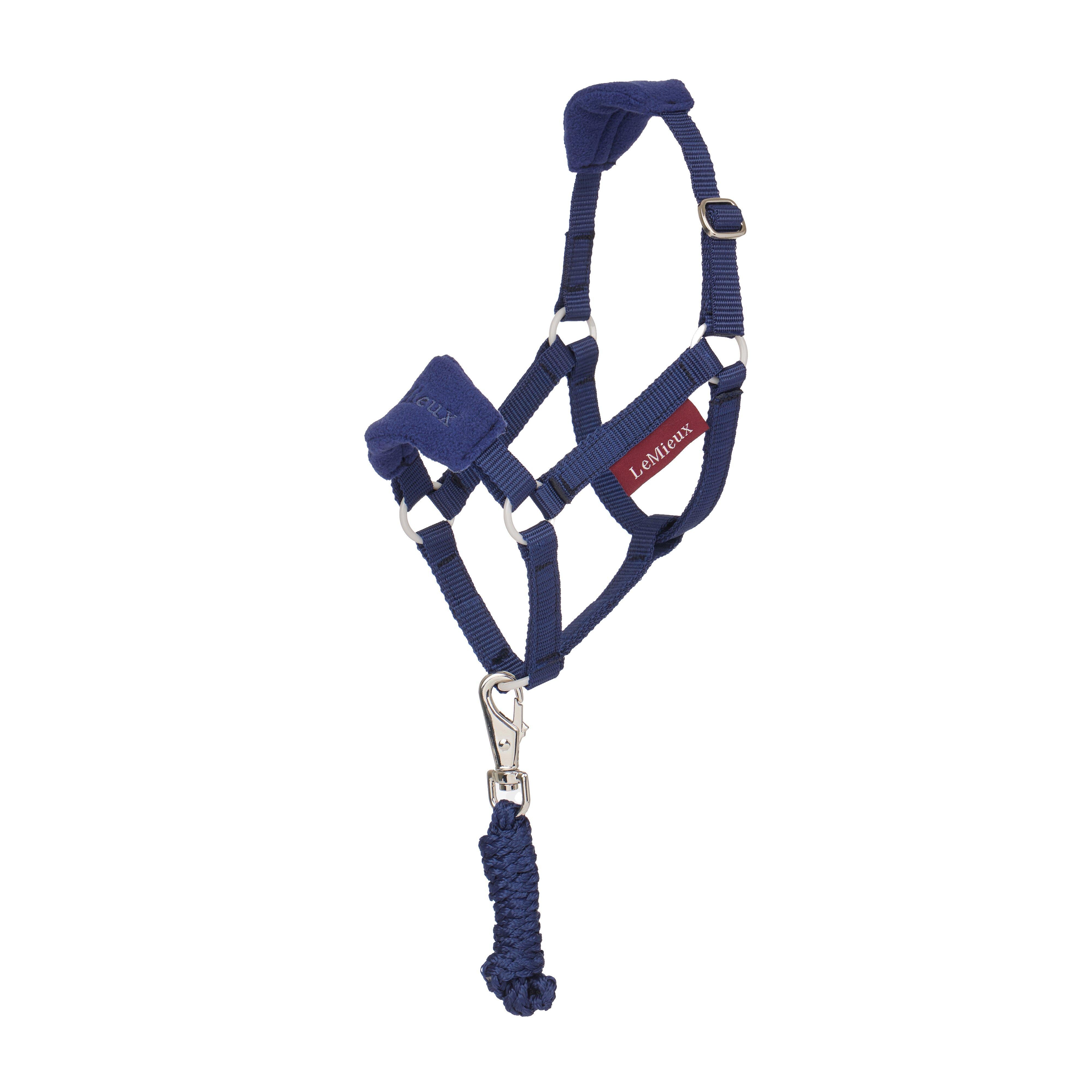 Hobby Horse Vogue Headcollar & Leadrope Ink
