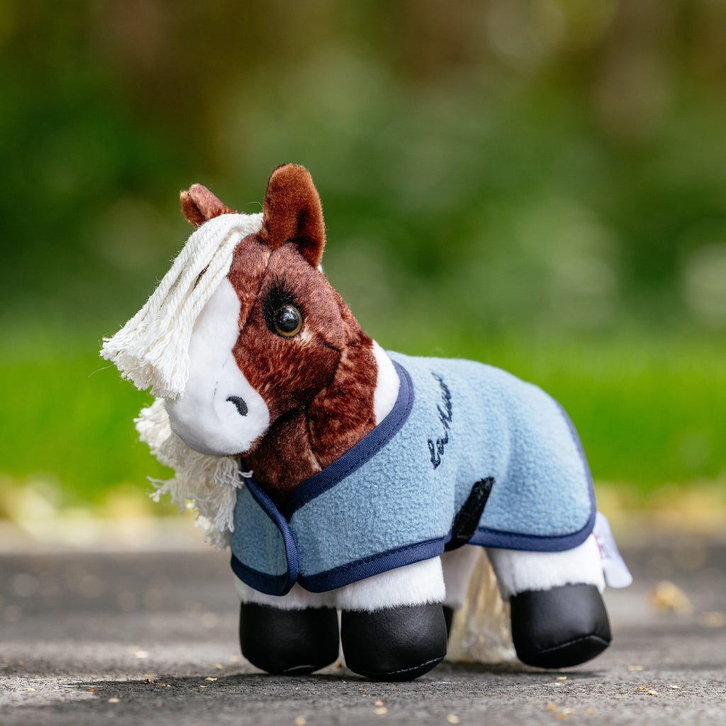 Tiny Pony Flash