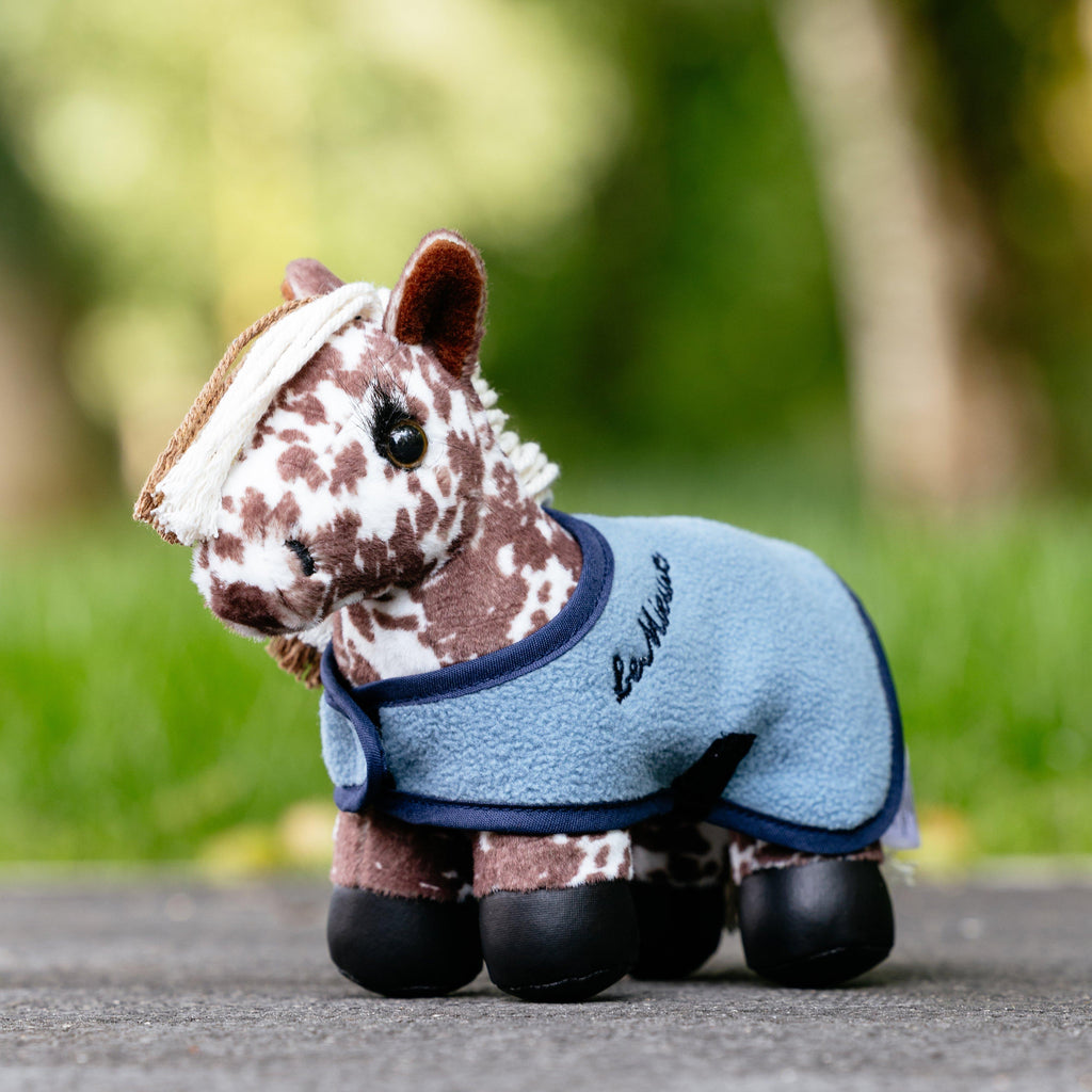 Tiny Pony Montana
