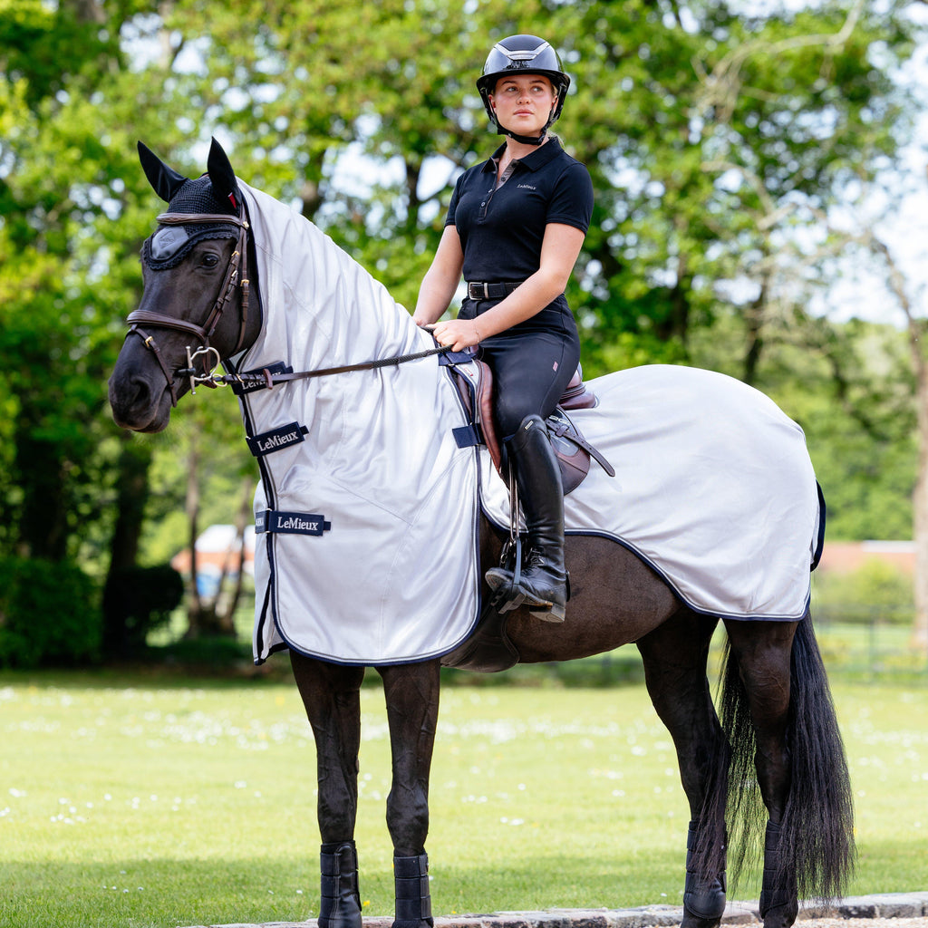 Ride On Fly Rug Grey