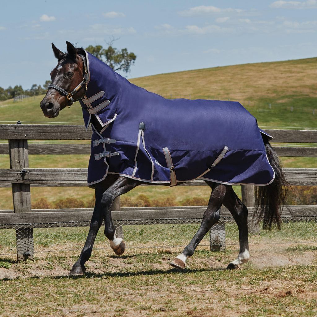 ComFiTec Essential Combo Neck Lite Plus 50g Turnout Rug Navy/Silver/Red