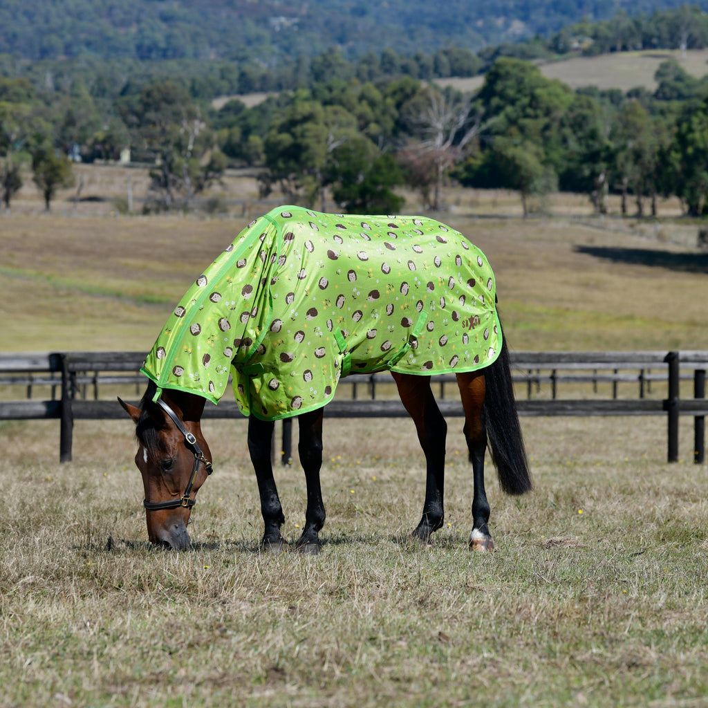 Mesh Combo Neck Fly Rug Hedgehog & Flowers Print