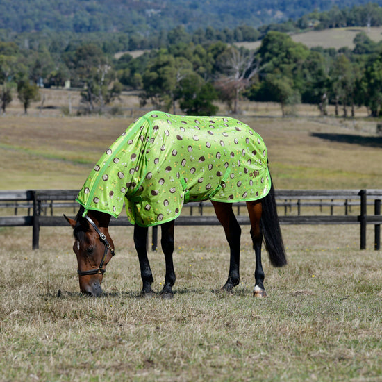 Mesh Combo Neck Fly Rug Hedgehog & Flowers Print