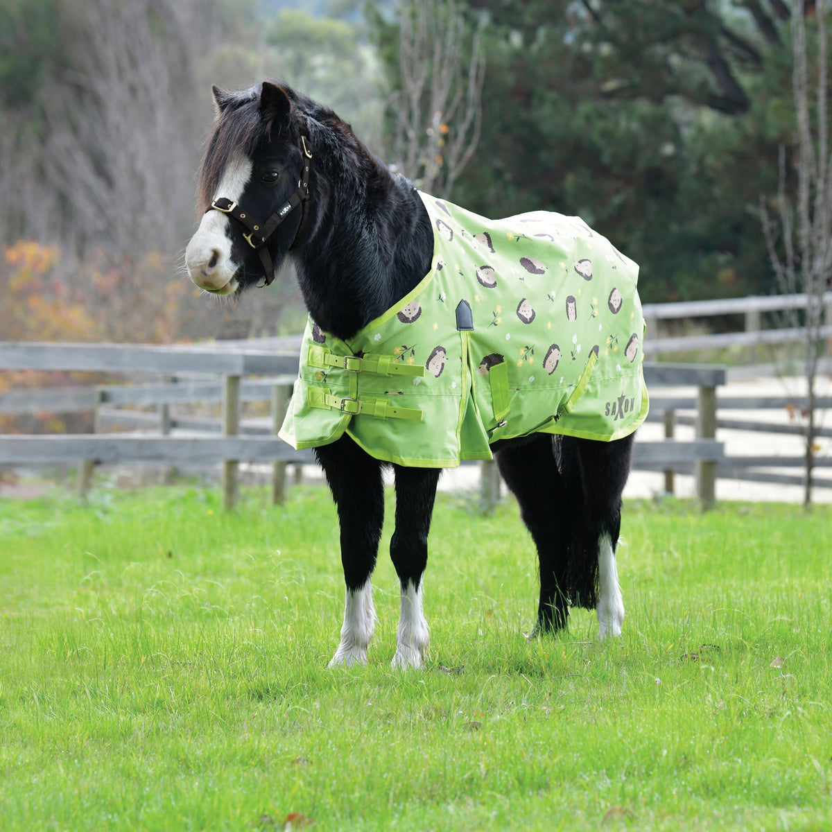 Defiant 600D Pony Standard Neck 0g Light Turnout Rug Hedgehogs & Flower Print
