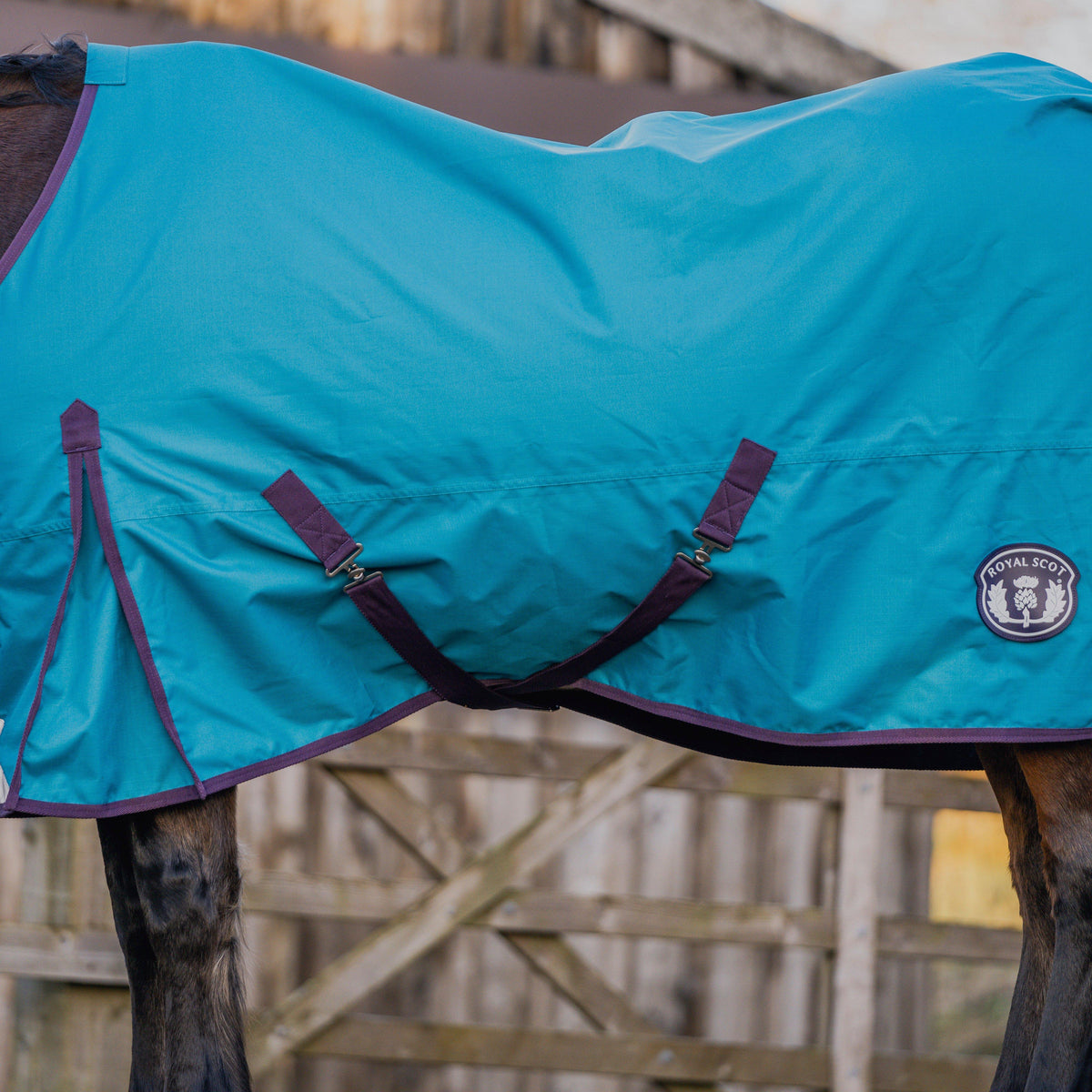 Original Lite 0g Standard Neck Turnout Rug Ocean