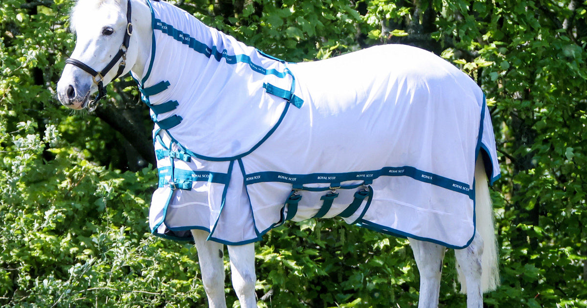 Royal Scot Original Fly Rug White/Ocean – Naylors