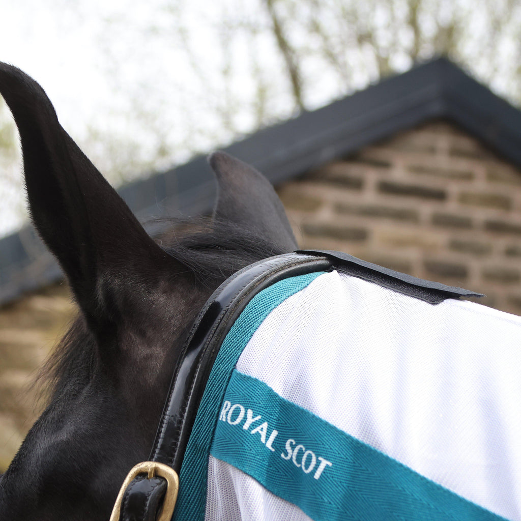 Original Fly Rug White/Ocean