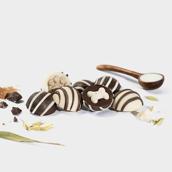 Ruffingtons Terrier Truffles