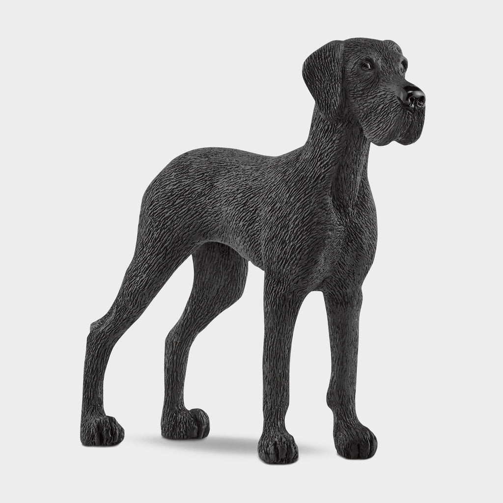 Great Dane