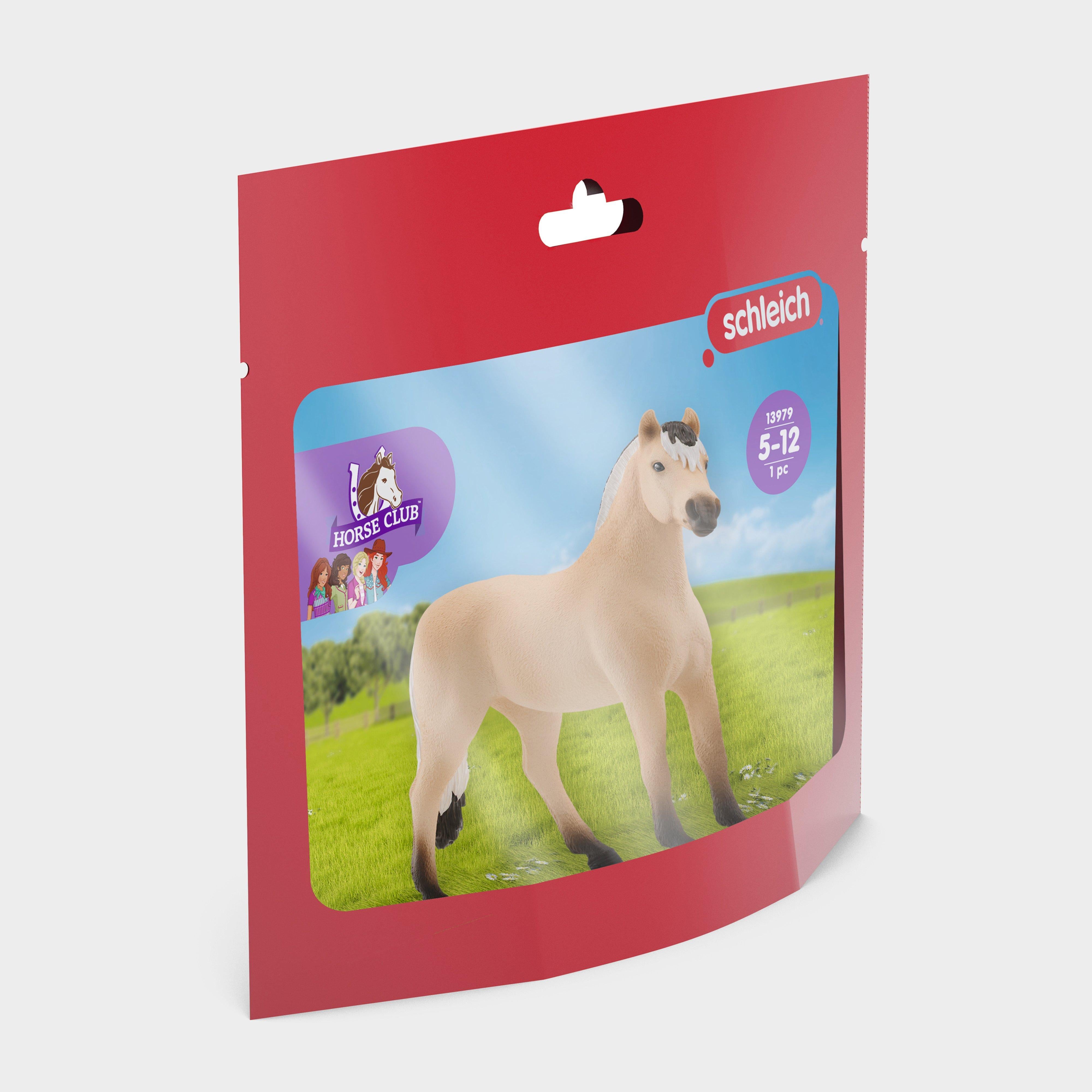 Norwegian Fjord Horse Gelding