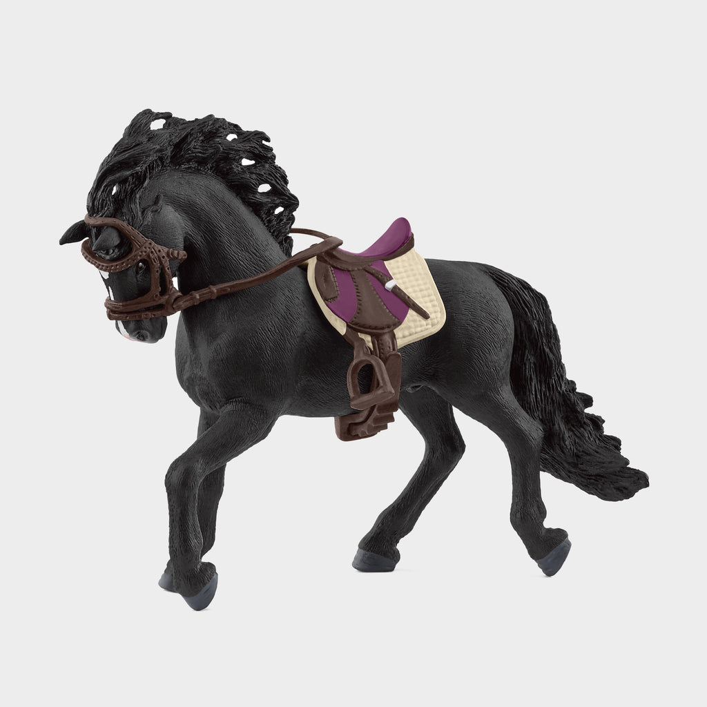 Pura Raza Española Stallion with Saddle & Bridle