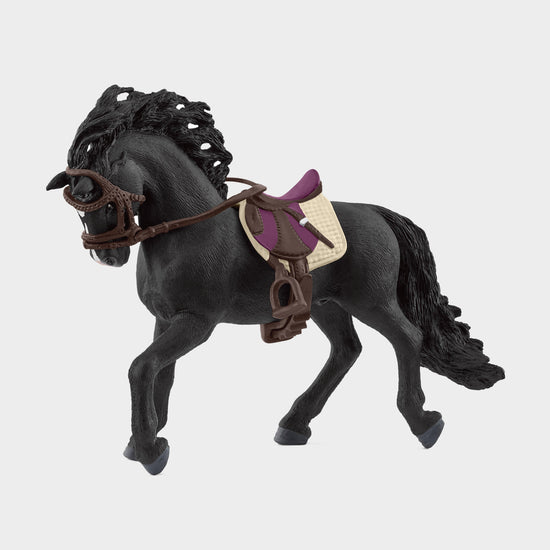Pura Raza Española Stallion with Saddle & Bridle