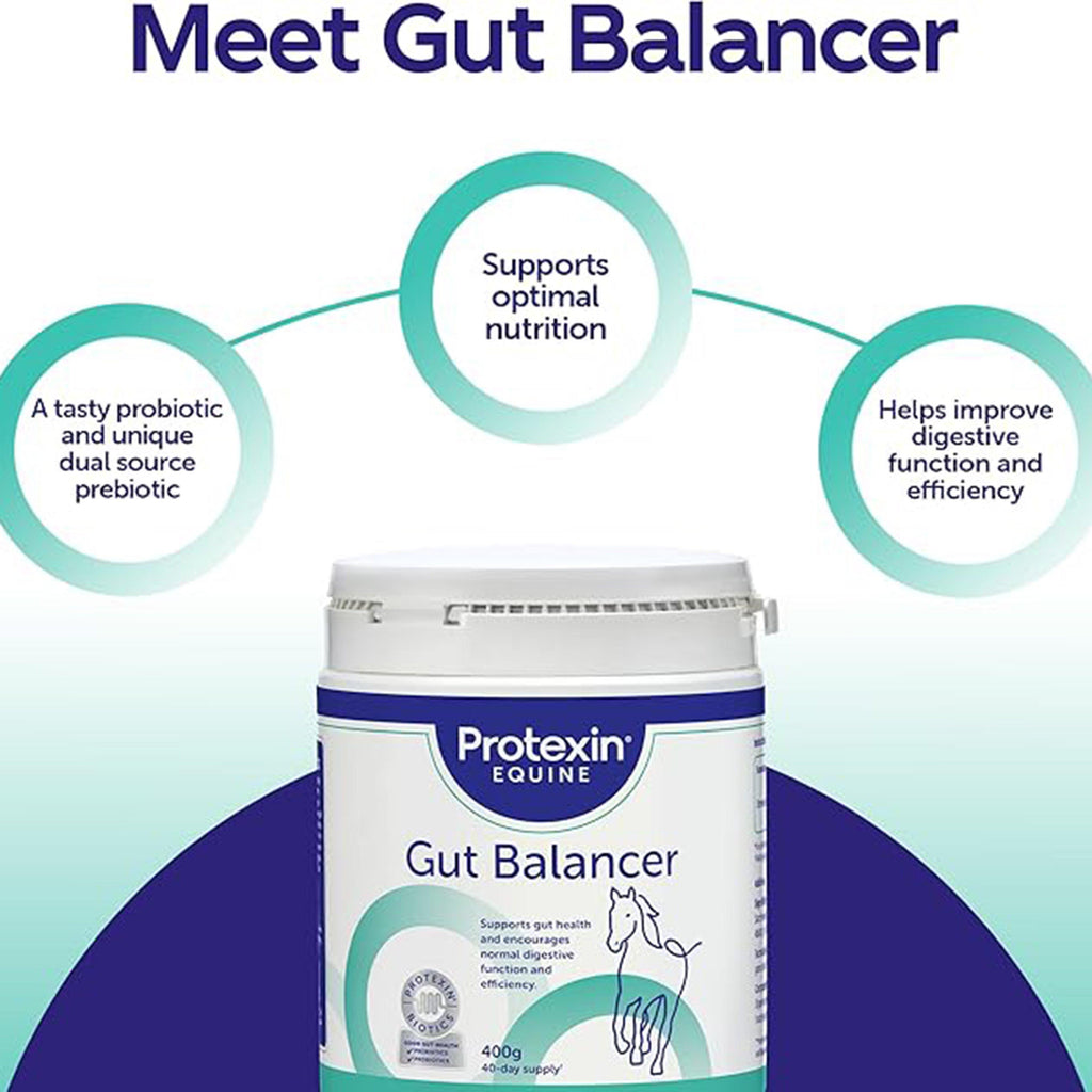 Gut Balancer