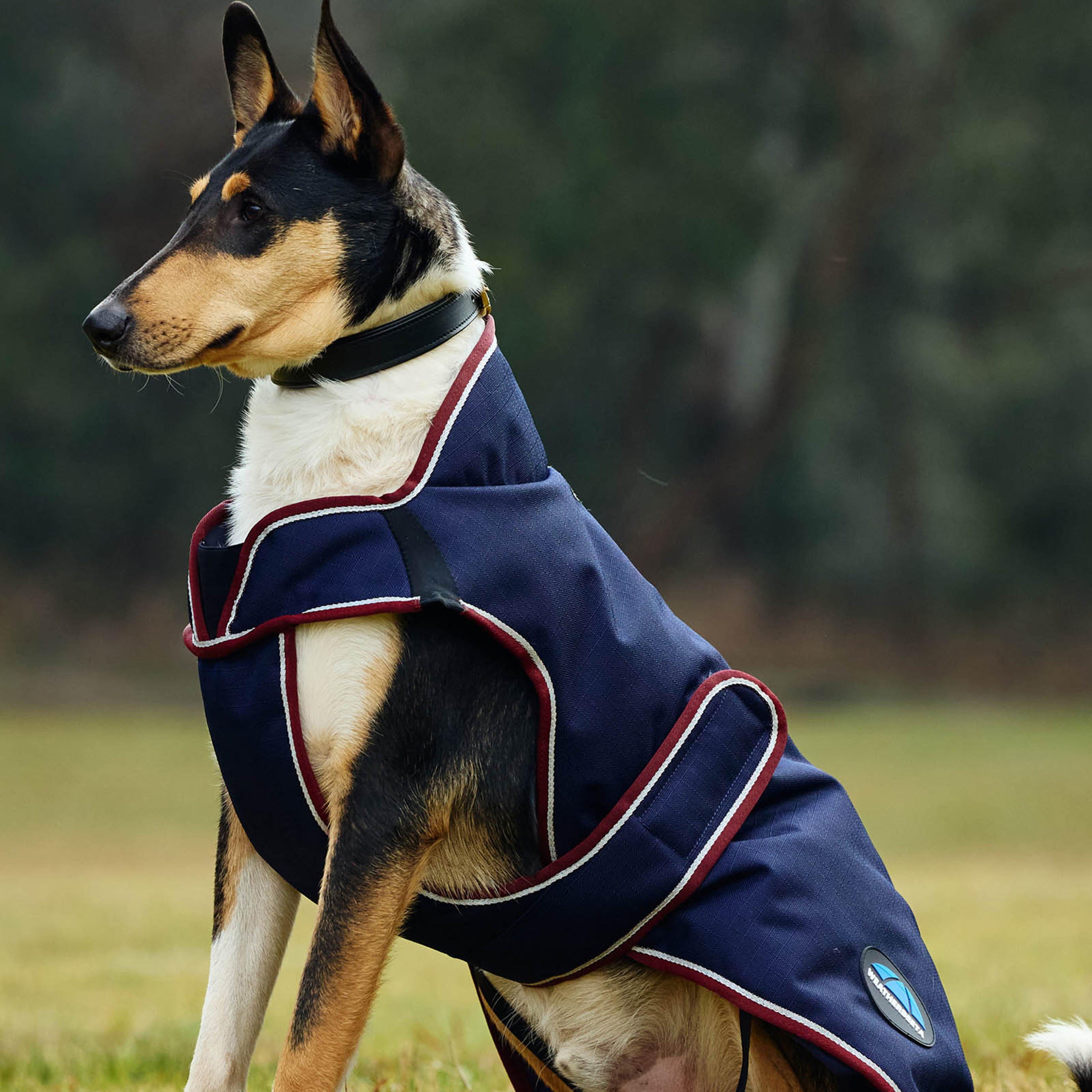 ComFiTec Premier Deluxe Waterproof Dog Coat