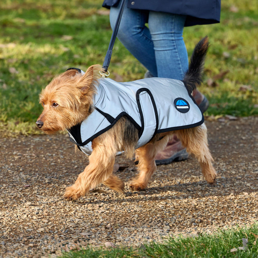 ComFiTec Classic Waterproof Dog Coat