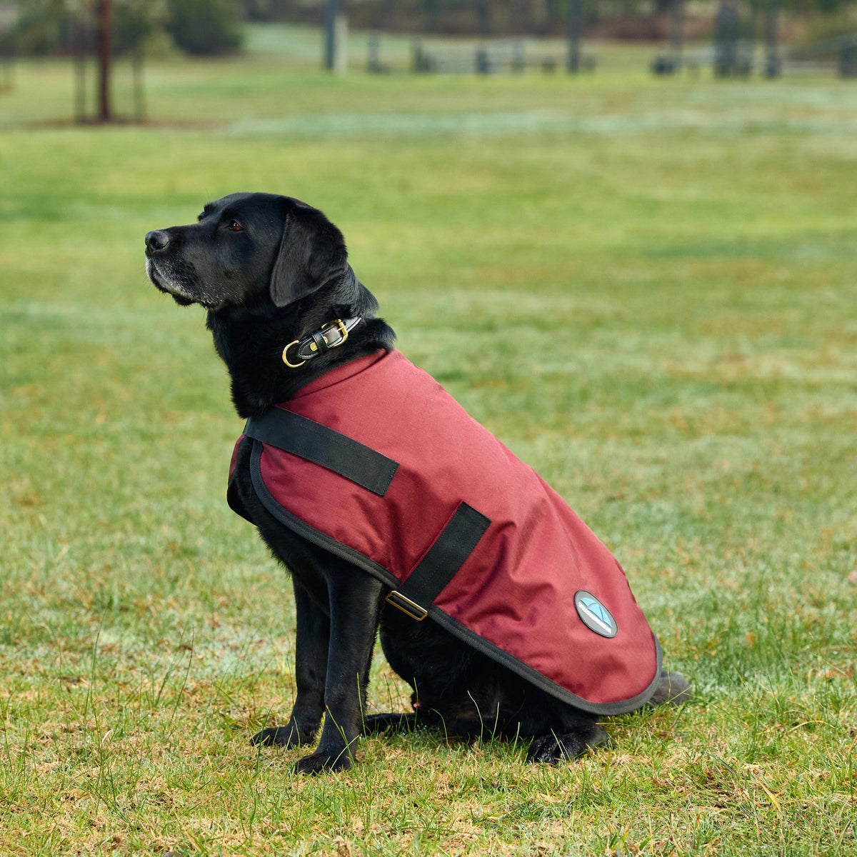 ComFiTec Classic Waterproof Dog Coat Burgundy