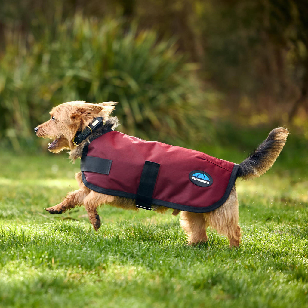 ComFiTec Classic Waterproof Dog Coat Burgundy
