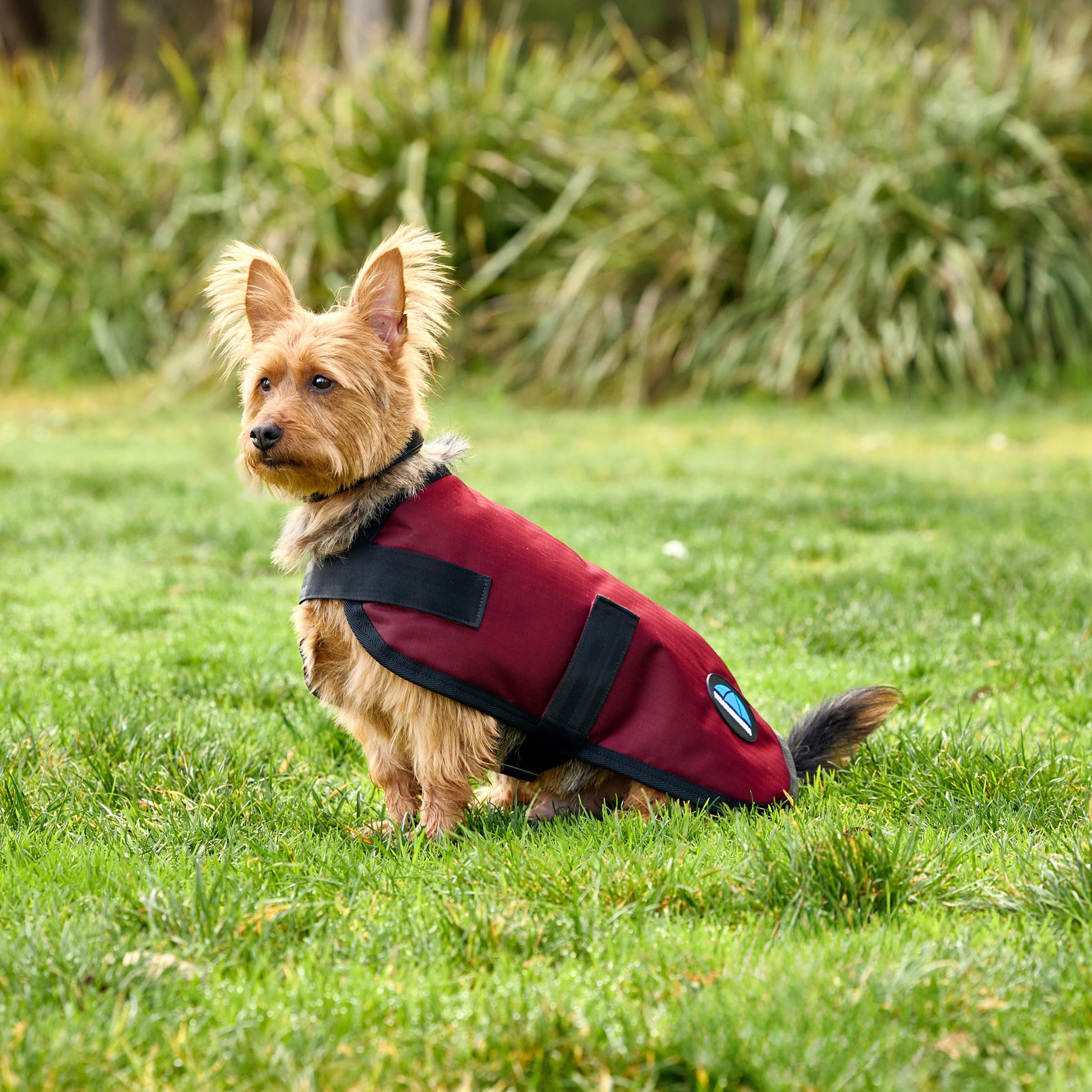 ComFiTec Classic Waterproof Dog Coat Burgundy