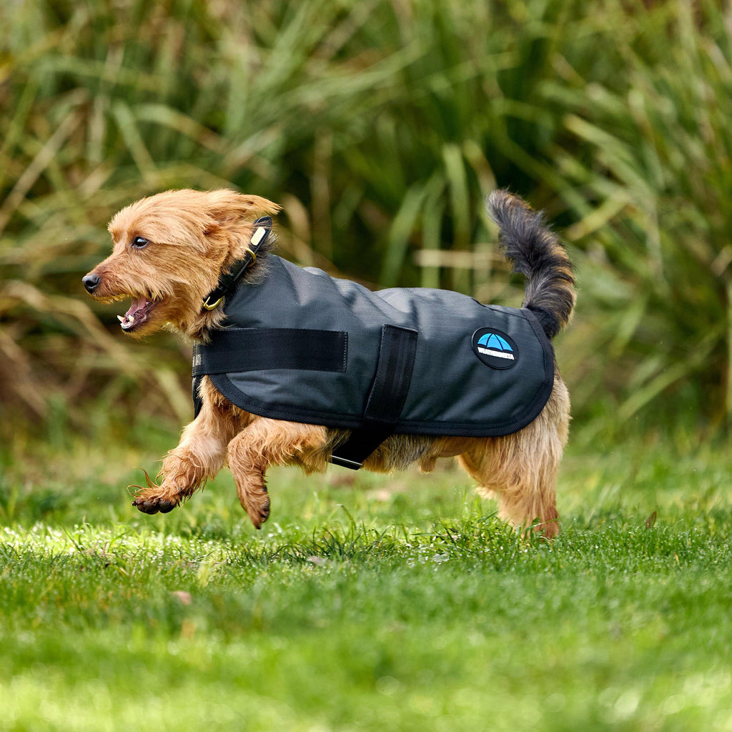 ComFiTec Classic Waterproof Dog Coat Charcoal