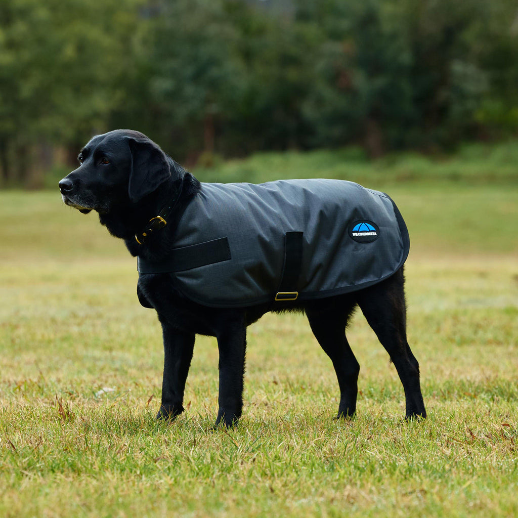 ComFiTec Classic Waterproof Dog Coat Charcoal