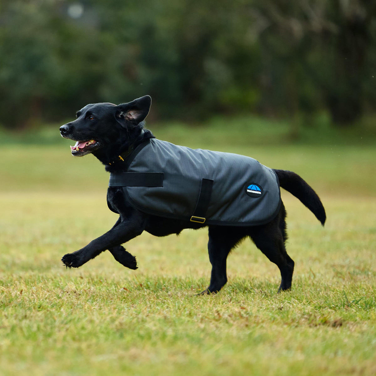 ComFiTec Classic Waterproof Dog Coat Charcoal