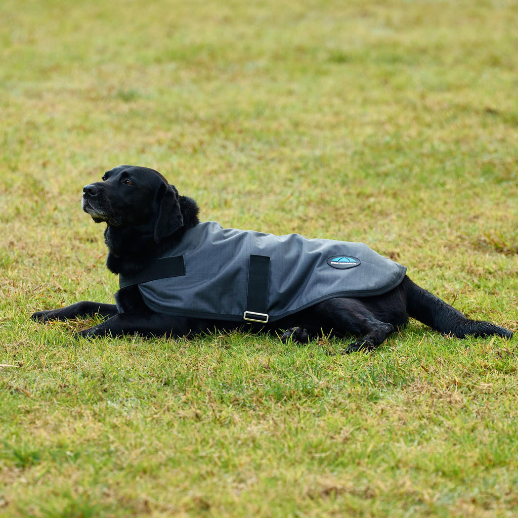 ComFiTec Classic Waterproof Dog Coat Charcoal