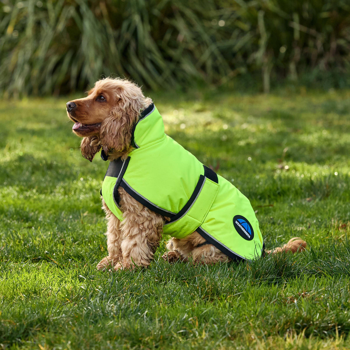 ComFiTec Classic Waterproof Dog Coat