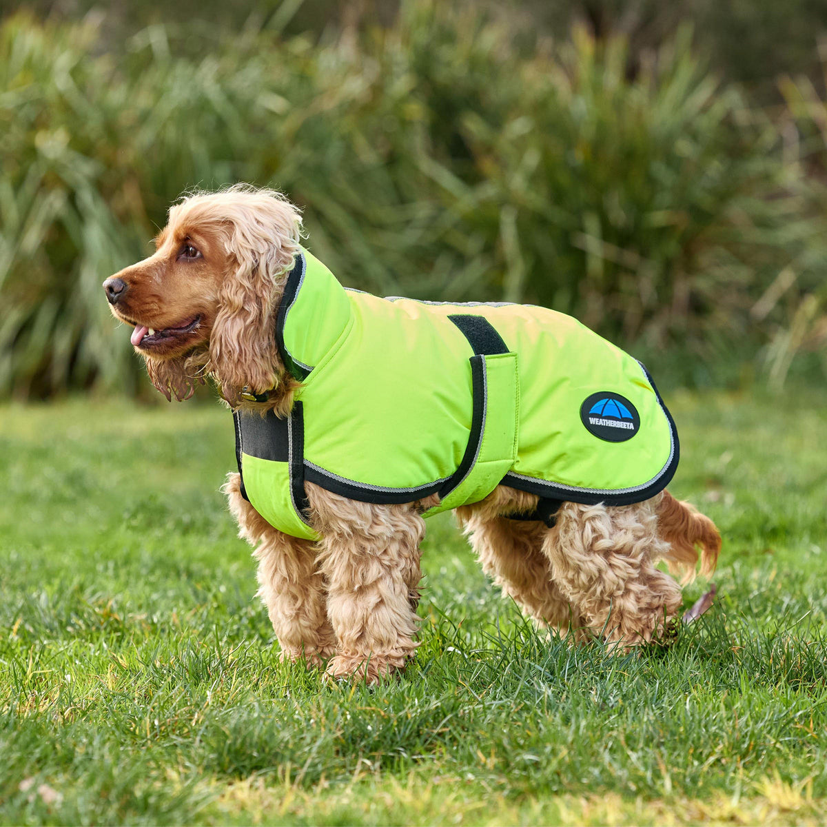 ComFiTec Classic Waterproof Dog Coat