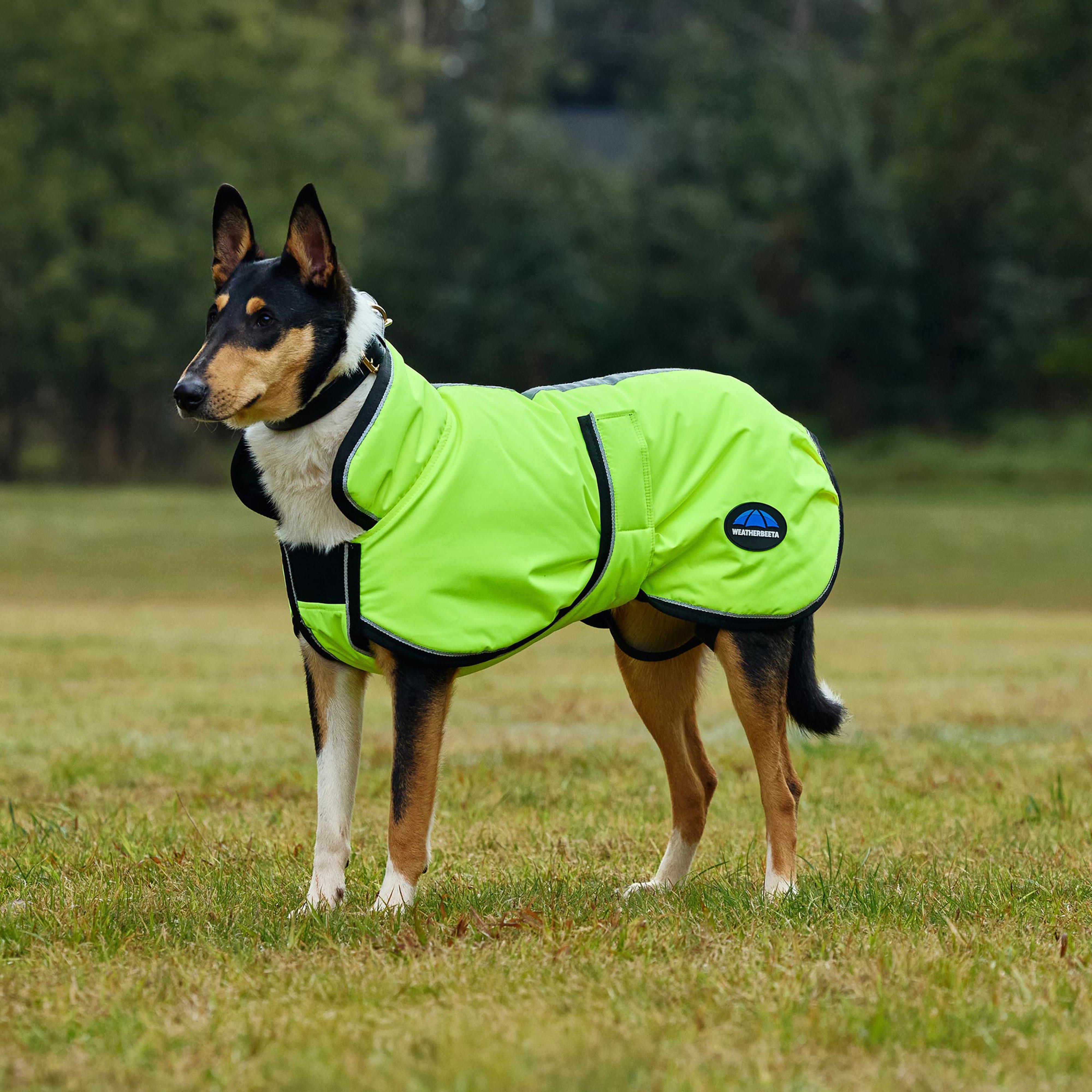 ComFiTec Classic Waterproof Dog Coat