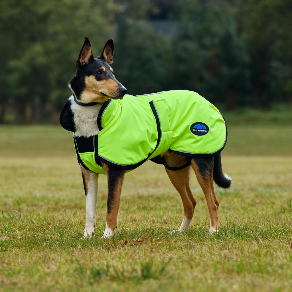 ComFiTec Classic Waterproof Dog Coat