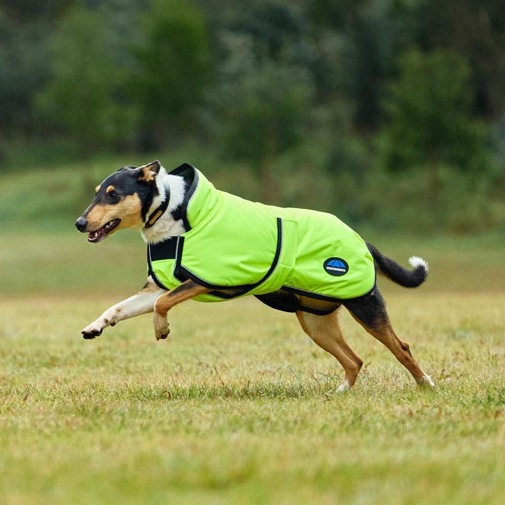 ComFiTec Classic Waterproof Dog Coat