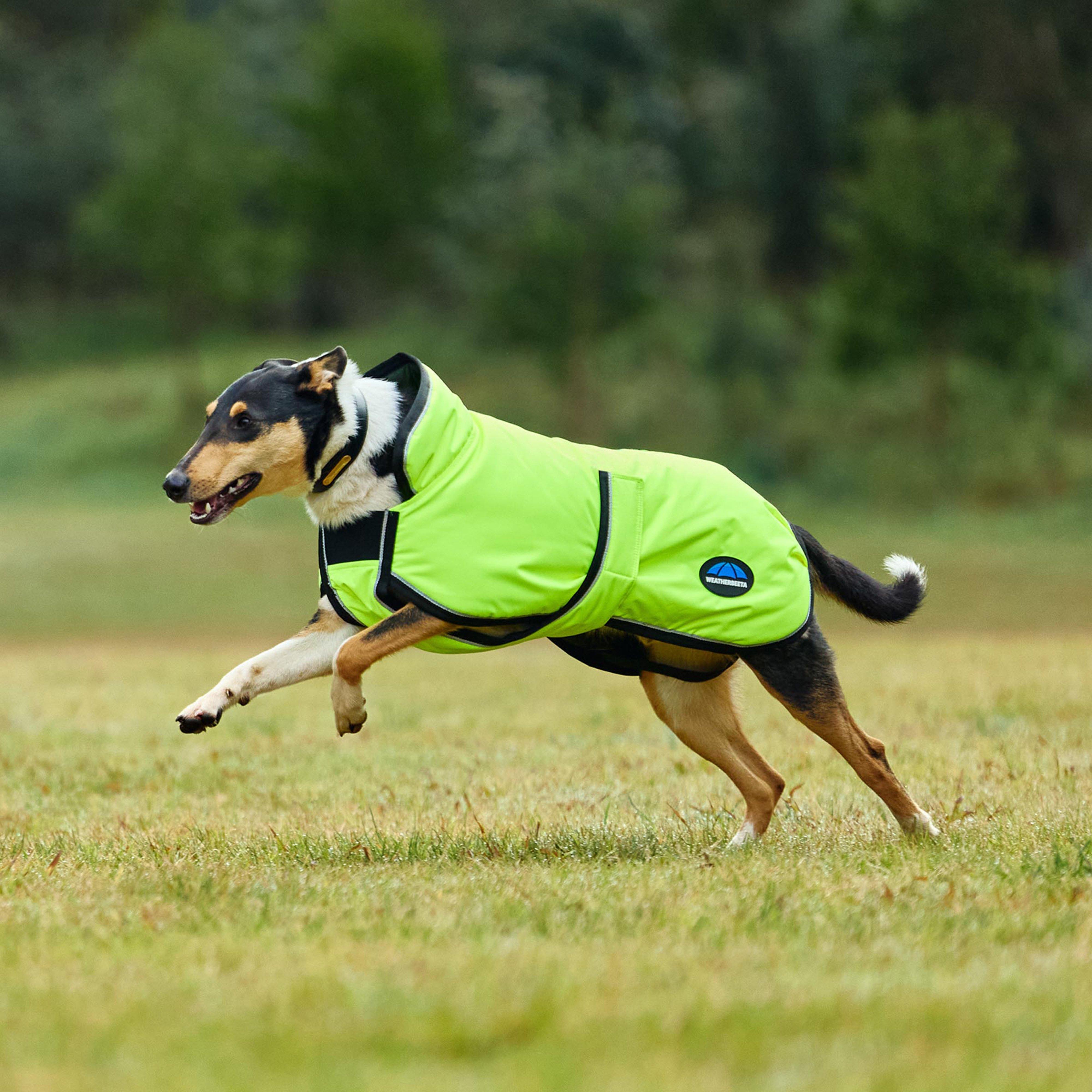 ComFiTec Classic Waterproof Dog Coat