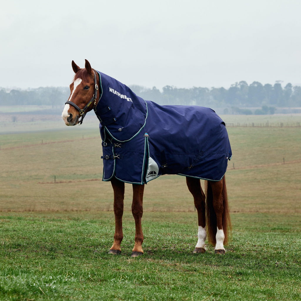ComFiTec Plus Dynamic II Detach-A-Neck Mediumweight 220g Turnout Rug Navy