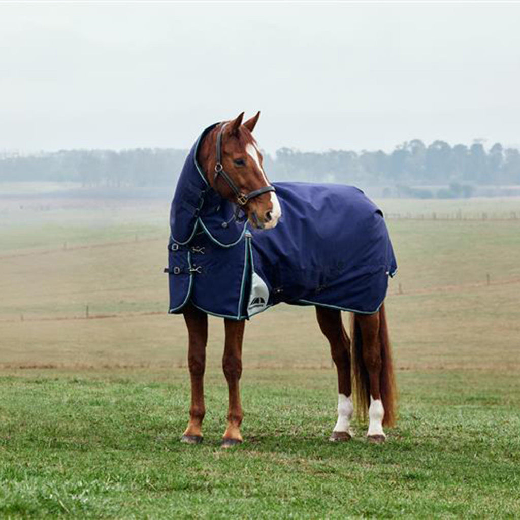 ComFiTec Plus Dynamic II Detach-A-Neck Mediumweight 220g Turnout Rug Navy