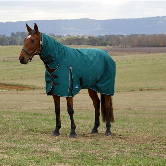 ComFiTec Classic Combo Neck 220g Mediumweight Turnout Rug Dark Blue/Coffee