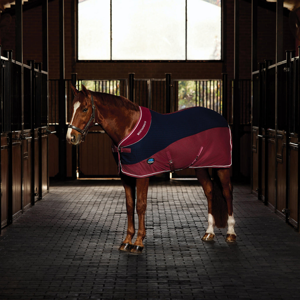 Thermo-Air Cooler Standard Neck Navy