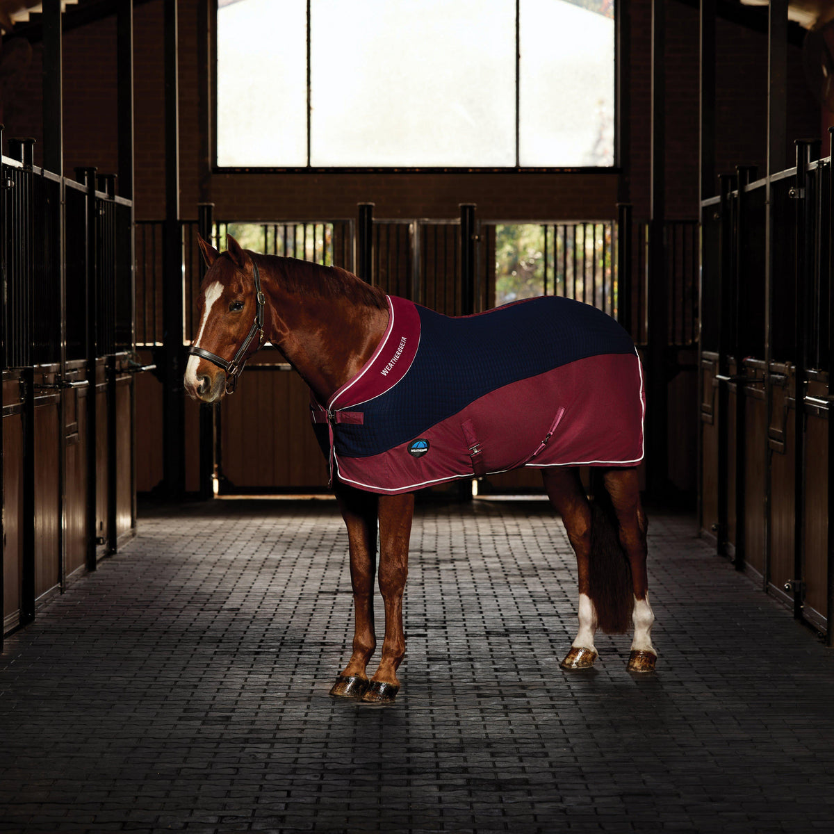 Thermo-Air Cooler Standard Neck Navy