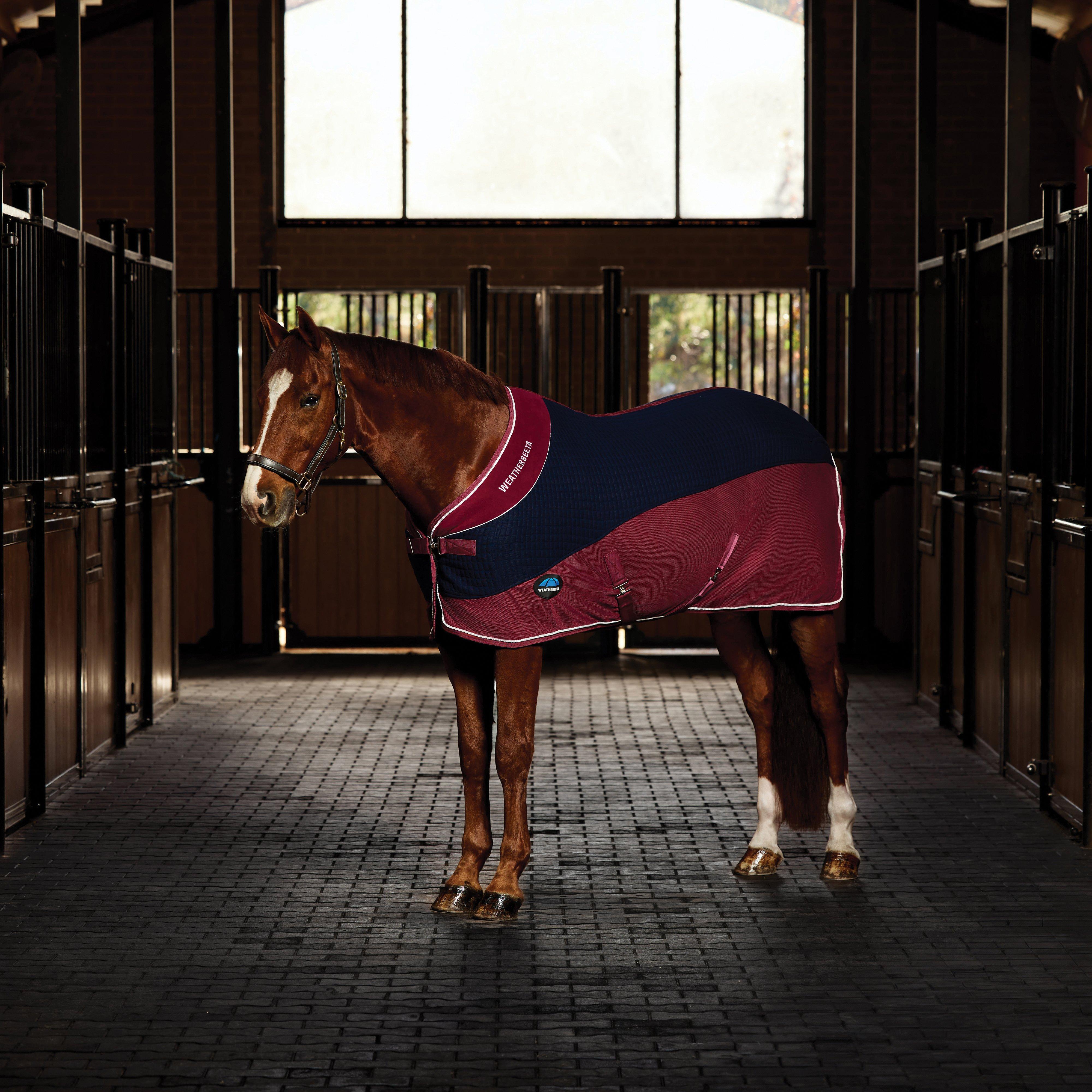 Thermo-Air Cooler Standard Neck Navy