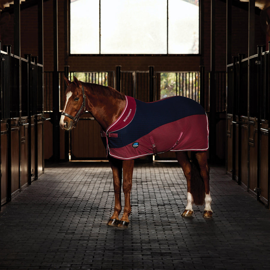 WeatherBeeta Thermo-Air Cooler Standard Neck Navy