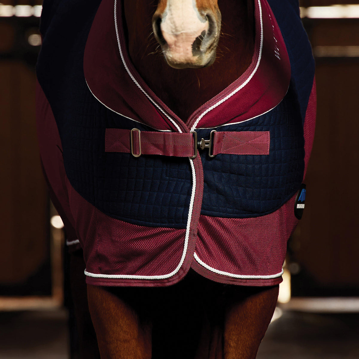 Thermo-Air Cooler Standard Neck Navy