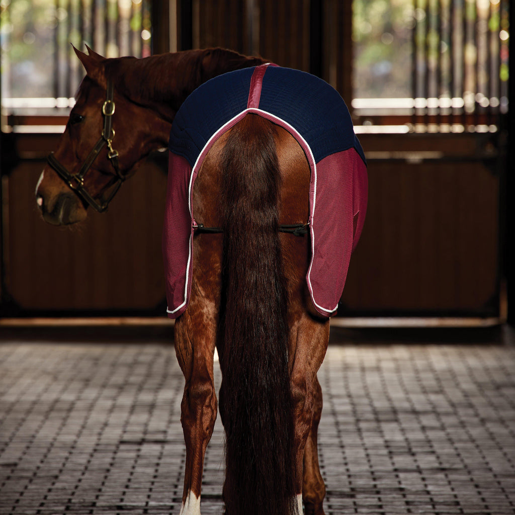 Thermo-Air Cooler Standard Neck Navy