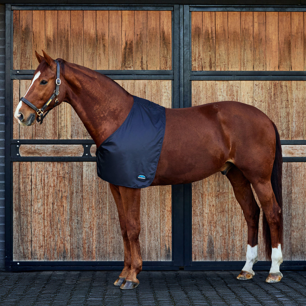 Satin Shoulder Guard Black