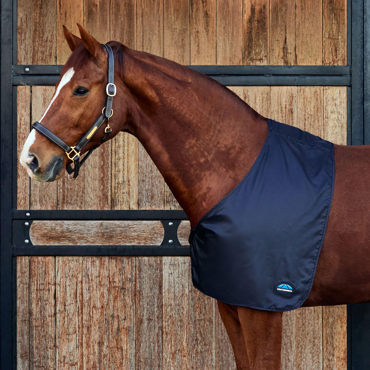 Satin Shoulder Guard Black