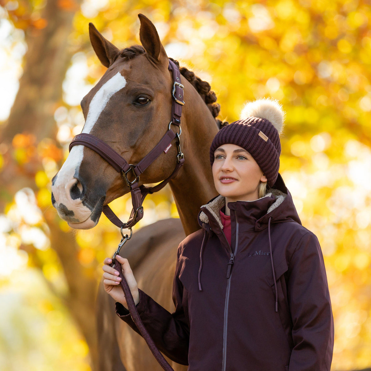 Womens Clara Ribbed Beanie Damson