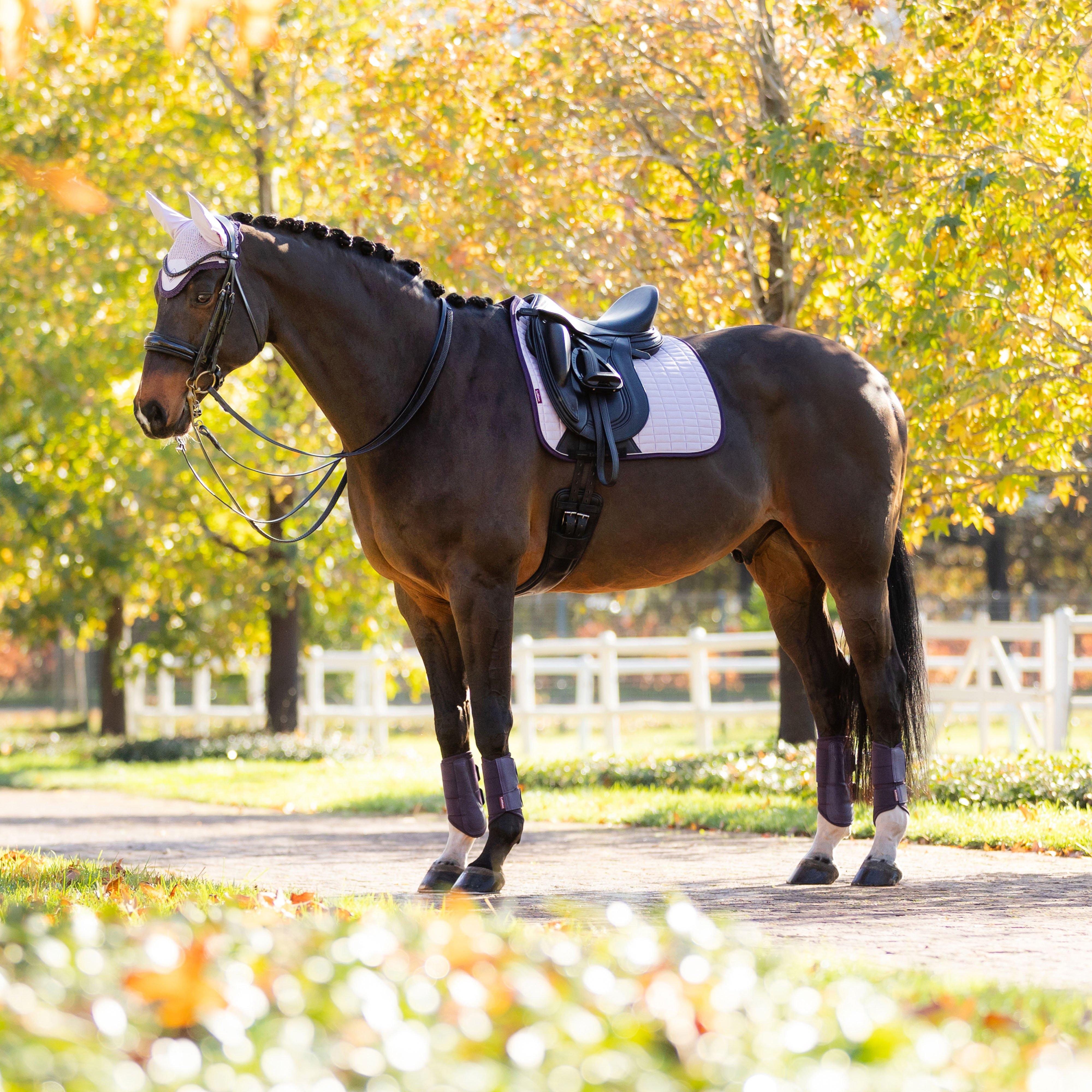 Suede Dressage Saddle Pad Lilac