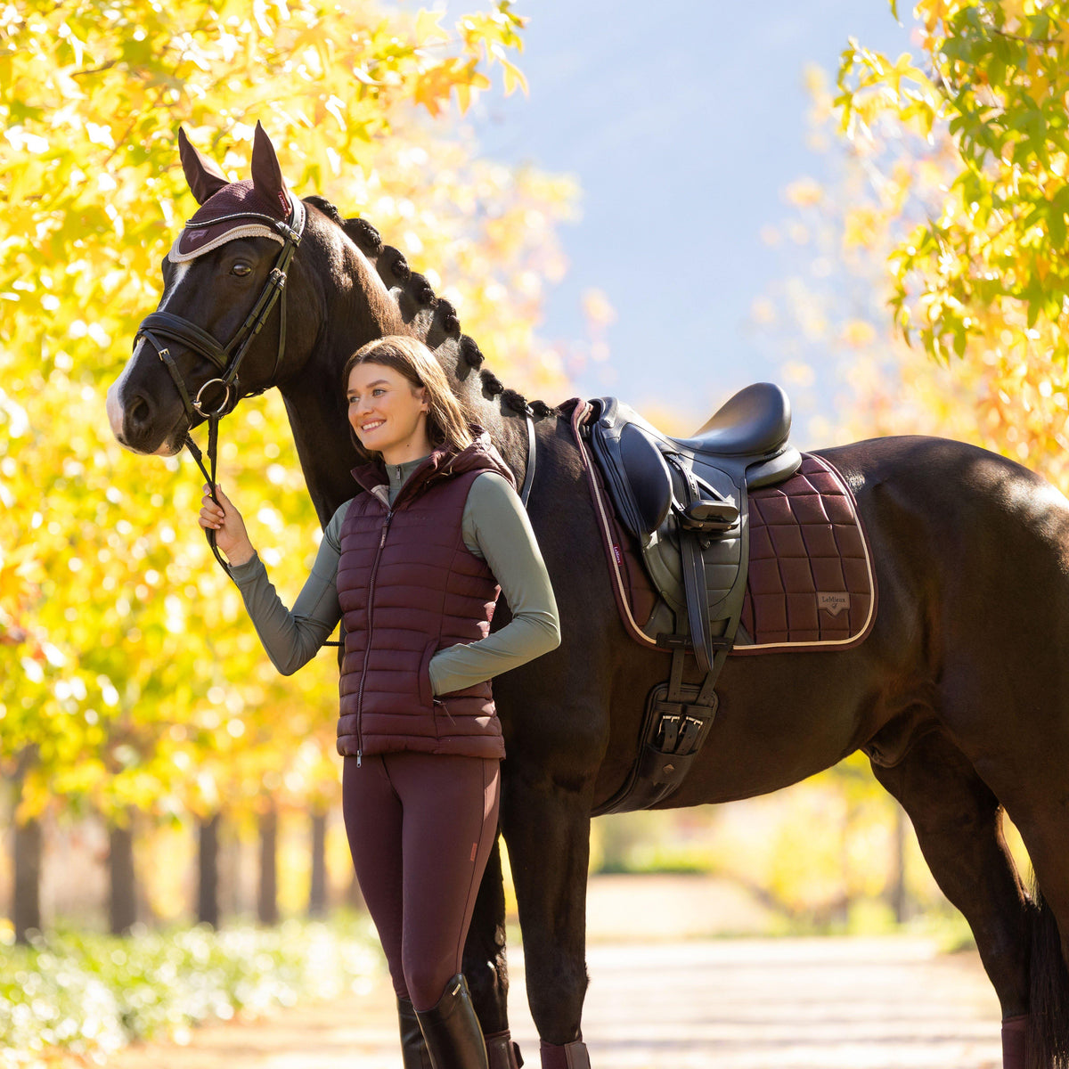 Loire Dressage Saddle Pad Damson