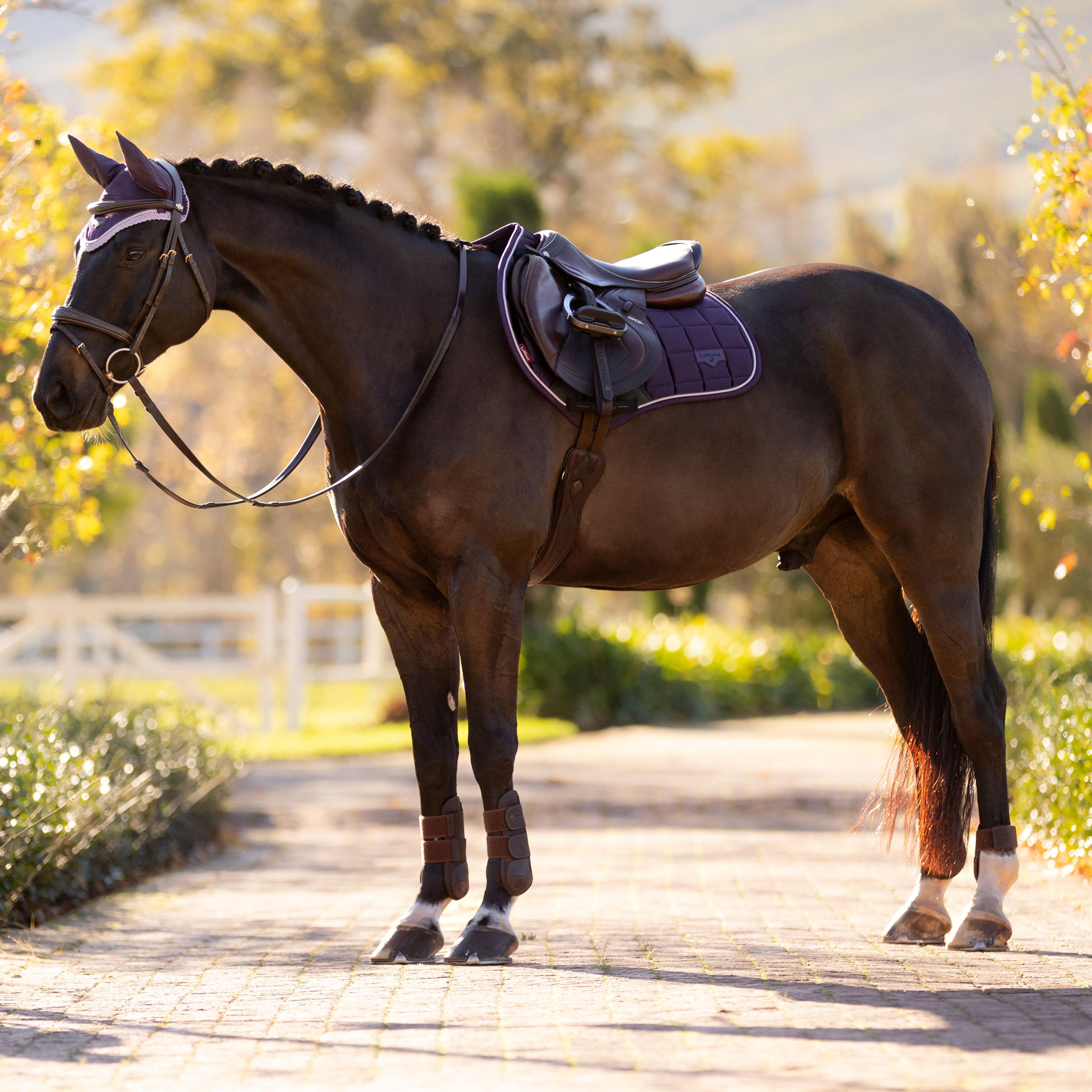 Loire Close Contact Saddle Pad Juniper